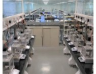 全球市場占有率近70%，看松江這家科學儀器企業(yè)如何全球化突圍