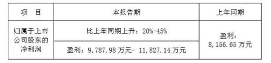 匯中股份2019年度業(yè)績(jī)預(yù)告