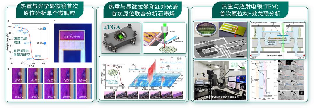 李昕欣：一顆芯片改變了一整類高端科學儀器的命運